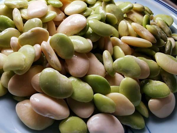 Nghỉ lễ mẹ đảm trổ tài làm món bánh gà hấp đậu ít béo và bổ dưỡng cho bé Nghỉ lễ mẹ đảm trổ tài làm món bánh gà hấp đậu ít béo và bổ dưỡng cho bé