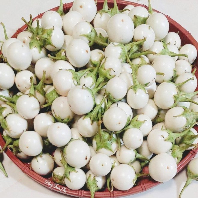 Cách làm cà pháo muối chua ngọt, giòn tan không bị thâm đen, ăn đến đâu cơm trôi đến đấy của mẹ đảm Cách làm cà pháo muối chua ngọt, giòn tan không bị thâm đen, ăn đến đâu cơm trôi đến đấy của mẹ đảm