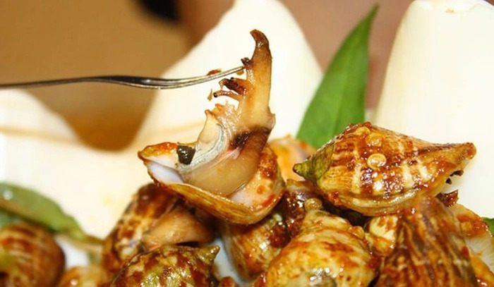 Khám phá Ốc nhảy - Bí mật đằng sau câu hỏi: 