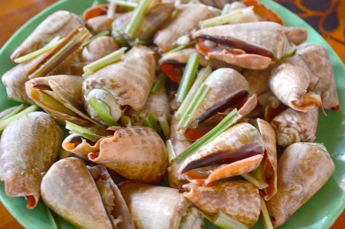 Khám phá Ốc nhảy - Bí mật đằng sau câu hỏi: 