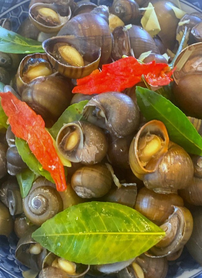 Mát trời học bố đảm cách luộc ốc ngon, mẹo 