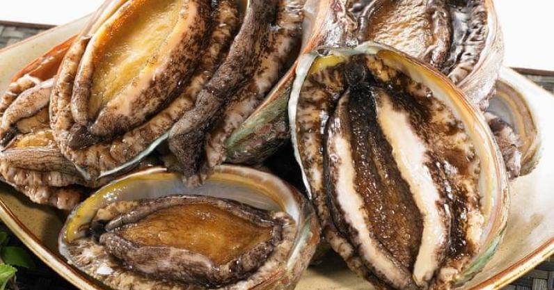 Mách bạn cách làm Cơm bào ngư: Món ăn hot nhất ngày 13/08, đặc biệt dành cho các cặp đôi chiêu đãi nhau thêm phần thắm thiết