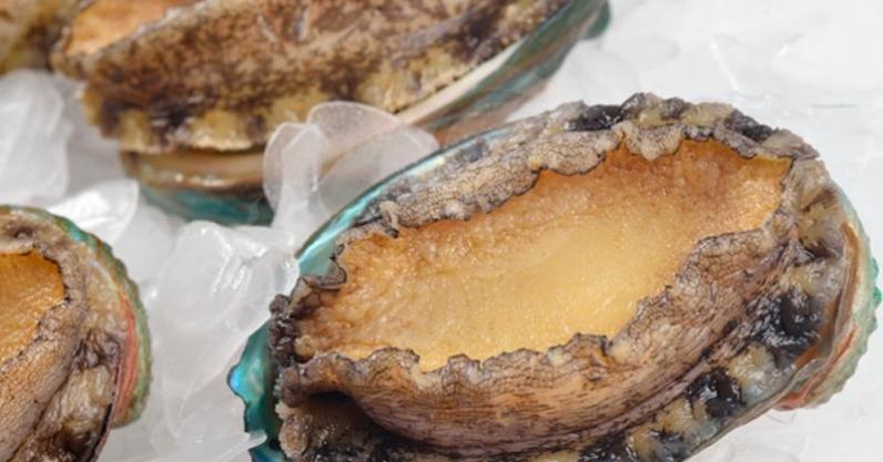 Mách bạn cách làm Cơm bào ngư: Món ăn hot nhất ngày 13/08, đặc biệt dành cho các cặp đôi chiêu đãi nhau thêm phần thắm thiết