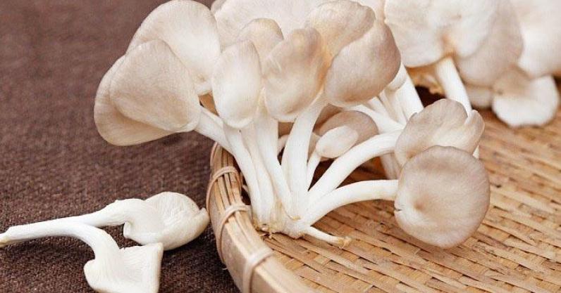 Mách bạn cách làm Cơm bào ngư: Món ăn hot nhất ngày 13/08, đặc biệt dành cho các cặp đôi chiêu đãi nhau thêm phần thắm thiết