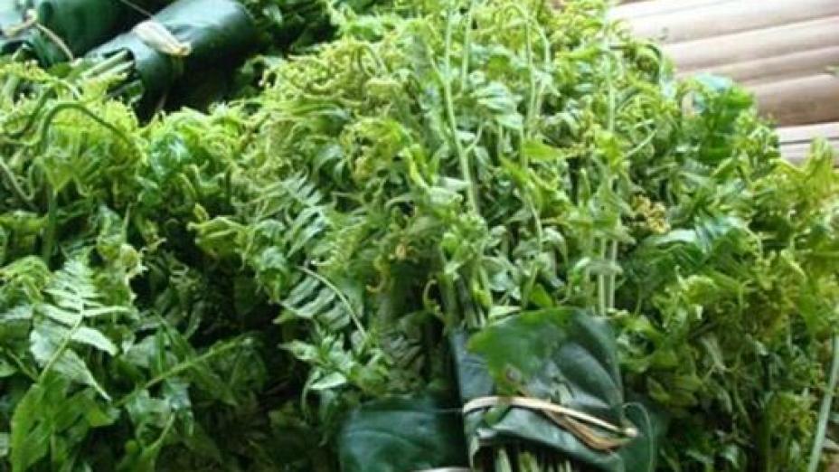 Đây chính là món ăn "thánh lầy" Hà Đức Chinh thích nhất mỗi lần về quê