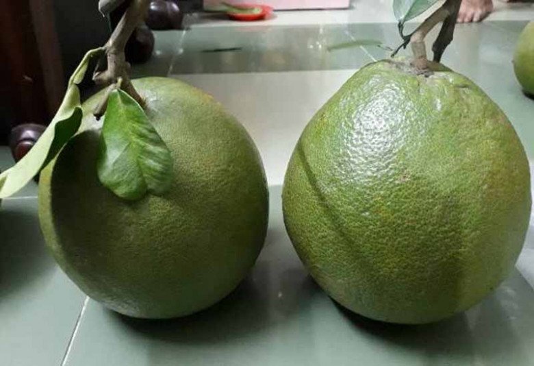 Tết Trung thu nhà nghèo cỡ mấy cũng nhớ bày 5 quả này, bề trên rất ưng bụng, tiền tài gõ cửa Tết Trung thu nhà nghèo cỡ mấy cũng nhớ bày 5 quả này, bề trên rất ưng bụng, tiền tài gõ cửa