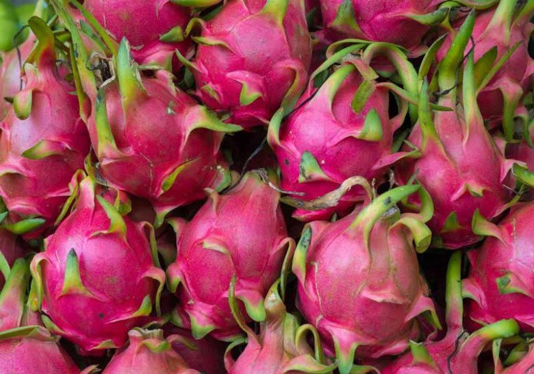 Tết Trung thu nhà nghèo cỡ mấy cũng nhớ bày 5 quả này, bề trên rất ưng bụng, tiền tài gõ cửa Tết Trung thu nhà nghèo cỡ mấy cũng nhớ bày 5 quả này, bề trên rất ưng bụng, tiền tài gõ cửa