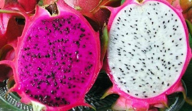 Tết Trung thu nhà nghèo cỡ mấy cũng nhớ bày 5 quả này, bề trên rất ưng bụng, tiền tài gõ cửa Tết Trung thu nhà nghèo cỡ mấy cũng nhớ bày 5 quả này, bề trên rất ưng bụng, tiền tài gõ cửa