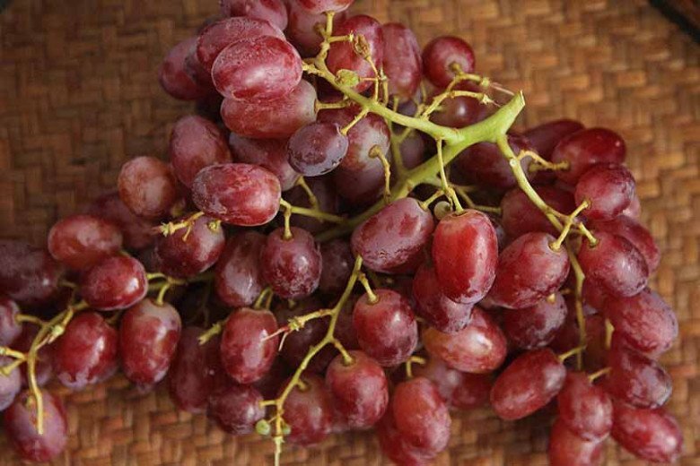 Tết Trung thu nhà nghèo cỡ mấy cũng nhớ bày 5 quả này, bề trên rất ưng bụng, tiền tài gõ cửa Tết Trung thu nhà nghèo cỡ mấy cũng nhớ bày 5 quả này, bề trên rất ưng bụng, tiền tài gõ cửa