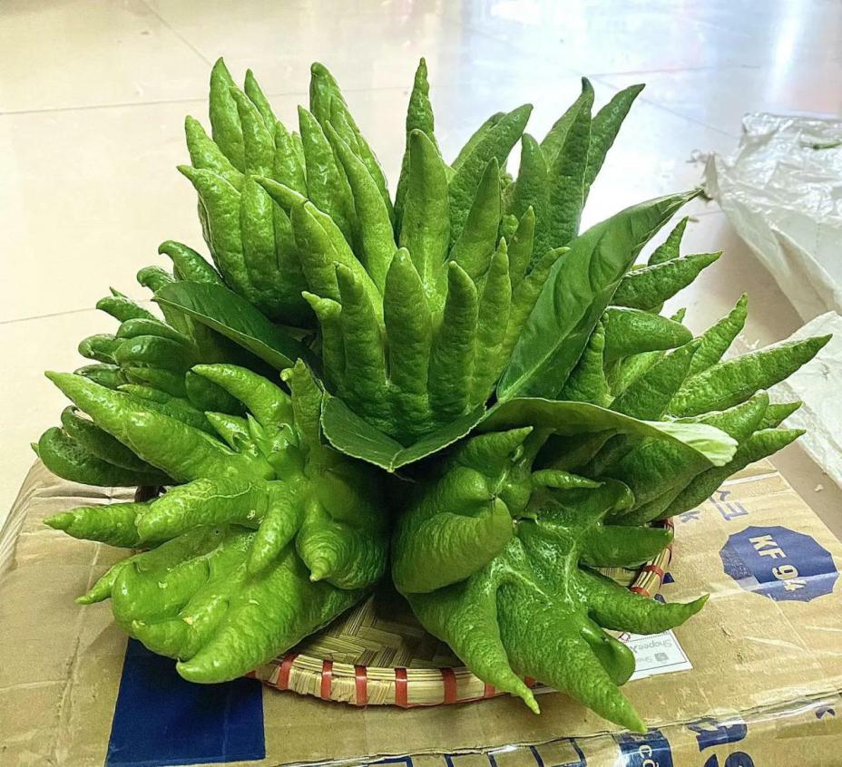 Mâm cúng Rằm tháng 7 cần những gì? Thắp hương ngày và giờ nào chuẩn nhất? Mâm cúng Rằm tháng 7 cần những gì? Thắp hương ngày và giờ nào chuẩn nhất?