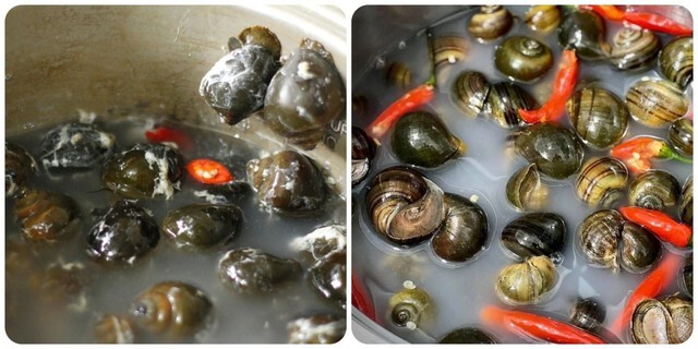 Luộc ốc mít ngon giòn xoắn lưỡi, thơm lừng không phải ai cũng biết