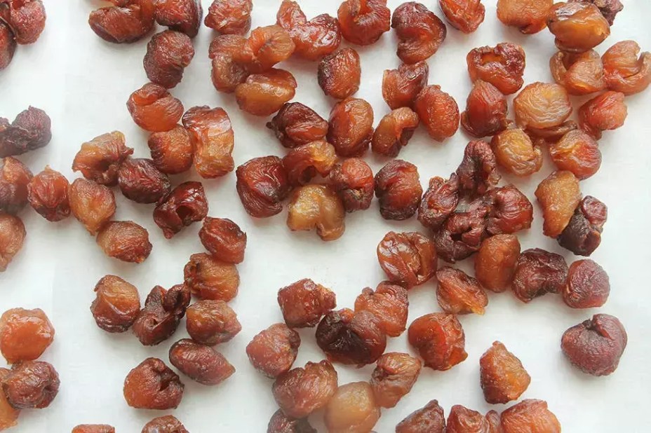 Nhãn mà làm thế này thì để cả năm ăn dần không hỏng, mùa giãn cách rảnh nhiều tranh thủ làm ngay! Nhãn mà làm thế này thì để cả năm ăn dần không hỏng, mùa giãn cách rảnh nhiều tranh thủ làm ngay!