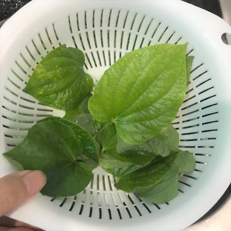 Công thức làm món thịt bò xào lá lốt, ăn là ghiền Công thức làm món thịt bò xào lá lốt, ăn là ghiền