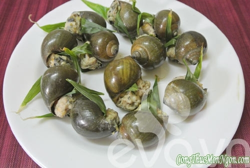 Giòn giòn 3 món ốc thơm ngon Giòn giòn 3 món ốc thơm ngon