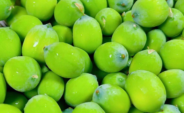 Mùa hè nhất định phải thử món ăn tuyệt ngon lại siêu bổ dưỡng từ hạt sen Mùa hè nhất định phải thử món ăn tuyệt ngon lại siêu bổ dưỡng từ hạt sen