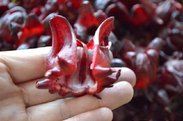 Mứt hoa atiso đỏ