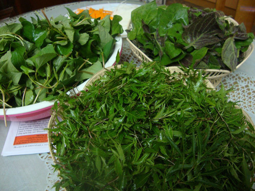 Phở cuốn cá hồi