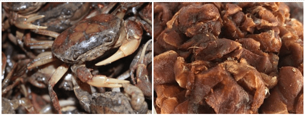 Cách làm cua rang me chua chua ngọt ngọt thơm ngon tại nhà