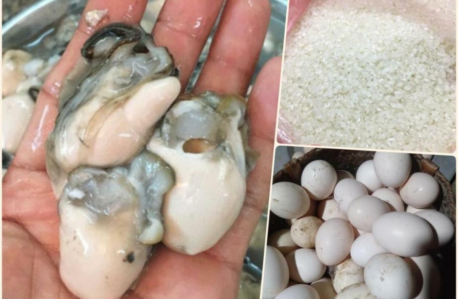 5 cách nấu cháo hàu sữa với đậu xanh, nấm rơm, trứng bổ dưỡng cho cả nhà