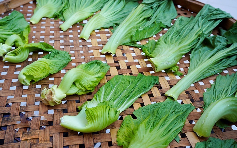 Muối dưa cải mãi giờ mới biết, muốn dưa vàng giòn không khú hỏng, 1-2 ngày là ăn được phải cho ngay thứ này