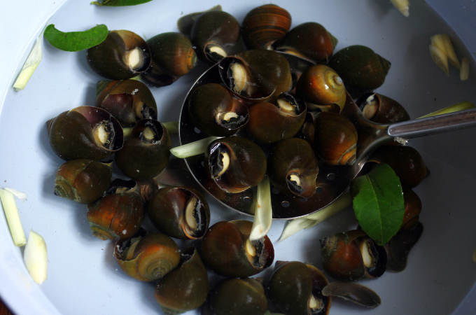 Cách làm lẩu ốc mùa thu