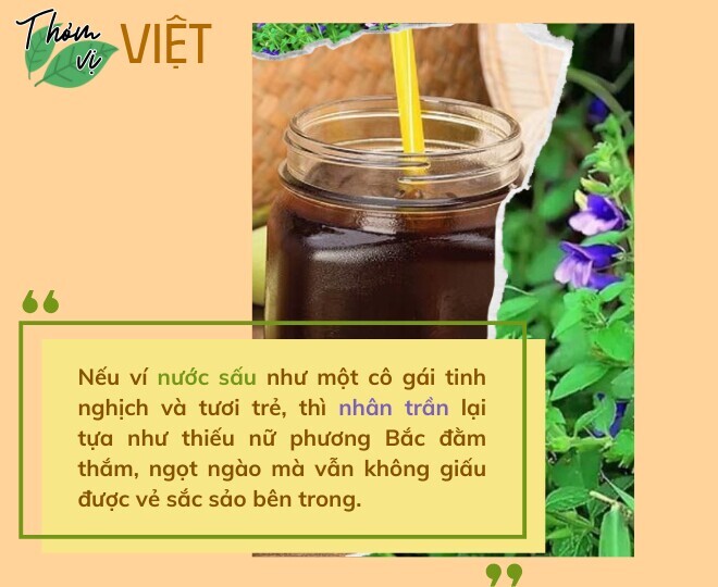 Nước sấu, nhân trần - 