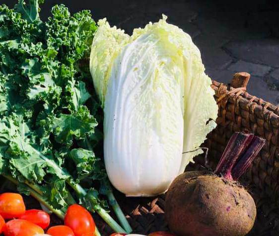 Món canh ngon đủ rau lẫn thịt này giúp giảm cân rất nhanh và làm đẹp da, cách nấu đơn giản, nhàn nhã