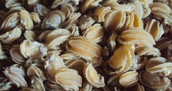 Cháo bào ngư Cháo bào ngư