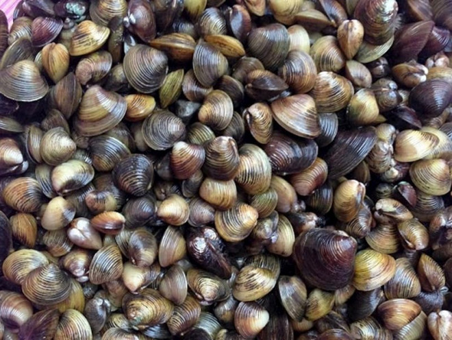 Lý do chồng ăn bát cháo hến vợ nấu không bị tanh, bất ngờ tăng phong độ mặn nồng đến ngỡ ngàng