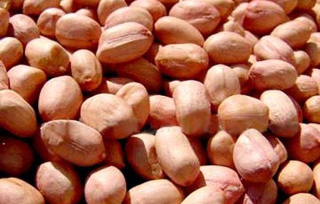 Cách nấu xôi lạc bằng nồi cơm điện ngon ăn đứt ngoài hàng Cách nấu xôi lạc bằng nồi cơm điện ngon ăn đứt ngoài hàng