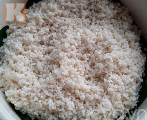 Cách làm xôi chim bồ câu bổ dưỡng và ngon miễn chê